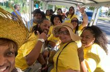 CHIPPIES BAHAMAS Island Tours : Feel The Culture