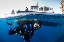 Diving baptism in the Montgrí Natural Park