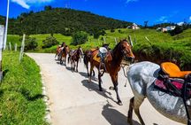 Cocora Valley and Salento Horseback Riding Day Tour 