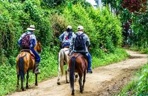 Cocora Valley and Salento Horseback Riding Day Tour