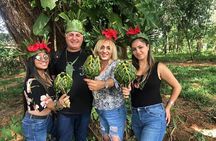 Private Spice Tour in Zanzibar with Pick Up