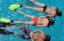 Miami: Snorkeling Adventure in Miami for Beginners Private Yacht