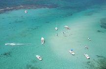 Cruise Ship Shore Tour - Stingray City, Reef Snorkel and Starfish