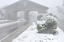 Gramado and Canela : Private Tour from Porto Alegre