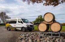 Full-Day Marlborough Wine Tour Including Wine Tasting 