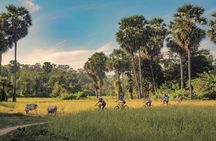 Siem Reap Countryside Guided Tour by Bike and E-Bike with Snacks