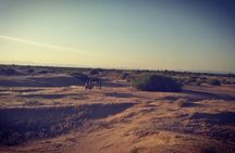 4D3N Huitengxile Grassland Wulanhada volcano Kubuqi Desert Tours