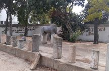 Ancient Carthage and Sidi Bou Said Half Day Tour with Lunch