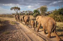 (2 Days, 1 Night) Day & Night Game Drive Tsavo East National Park