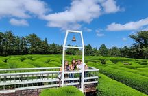 2-days Private Taxi Tour in Jeju Island