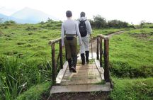 3 Days Golden Monkey Private Trekking in Rwanda