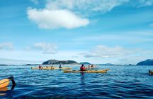 Sea Kayaking In Ålesund