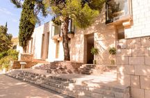Delphi Archaeological Site &Museum ticket with 3D Audiovisual