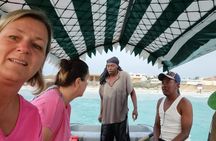 Mnemba Dolphins, Snorkeling & Nungwi Turtles + Sunset