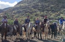 Rancho Gaucho Estate Expeditions 3 Days