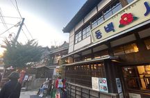 Small Group Guided Tour in Pohang