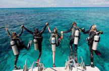 Catalina Island Diving Tour