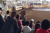 Tour between Charros, Mariachi and Tlaquepaque