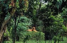 Bhubaneswar in a Day: Mystical Temples and Local Delights!