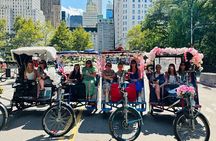 NYC Central Park guided Pedicab Tour - 2 hours