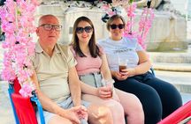 NYC Central Park guided Pedicab Tour - 2 hours