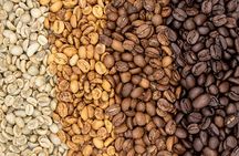 Coffee Plantation Visit and Tasting Activity in Costa Rica