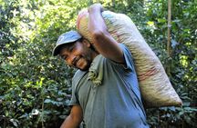 Coffee Plantation Visit and Tasting Activity in Costa Rica