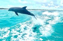 Half Day Snorkel from Providenciales with Visit to Half Moon Bay