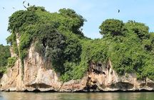 Exploration of mangroves and wildlife Los Haitises.