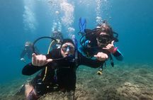 Experience Scuba Diving in Hawaii