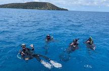 Certified Scuba Diving Along Two Shallow Reef Sites