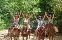 Discover Samana, Bacardi Island, the Limon waterfall and the whales