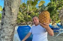Discover Samana, Bacardi Island, the Limon waterfall and the whales