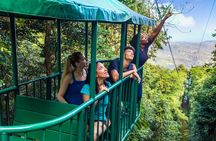St Lucia Rainforest Adventure: Aerial Tram, Zipline & Hiking