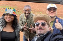 Half-Day Nairobi National Park Private Tour with admission