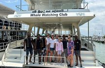 Whale Watching Mirissa with (WWC)