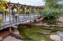 Dubai Crocodile Park Ticket with Transfers