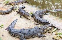 Dubai Crocodile Park Ticket with Transfers