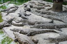 Dubai Crocodile Park Ticket with Transfers