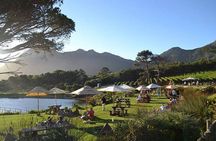 Explore the Cape Peninsula through a Queer Lens Private Tour
