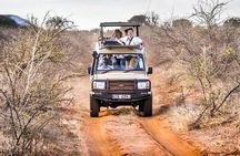 4 Days Private Safari Tour Tsavo and Amboseli from Nairobi