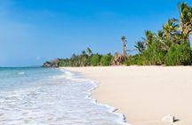 Diani Beach: Glass-bottom Boat Ride with Underwater Show