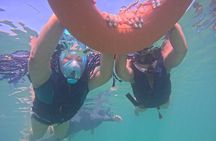 Full Day Tour to Cenotes and Akumal with Swim with Turtles