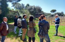 Ostuni DOC winetour and tasting.