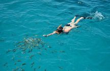 Catamaran Cruise with Private Transfers from Montego Bay
