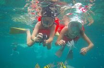 Catamaran Cruise with Private Transfers from Montego Bay