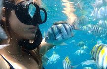 5 Hour Luxury Catamaran Day Sail in Sint Maarten on The Phoenix