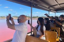 Full Day Tour to Las Coloradas Safari from Cancun