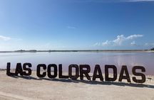 Full Day Tour to Las Coloradas Safari from Cancun