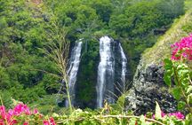 Kauai Eastside & Waterfalls-Shared Small Group Tour